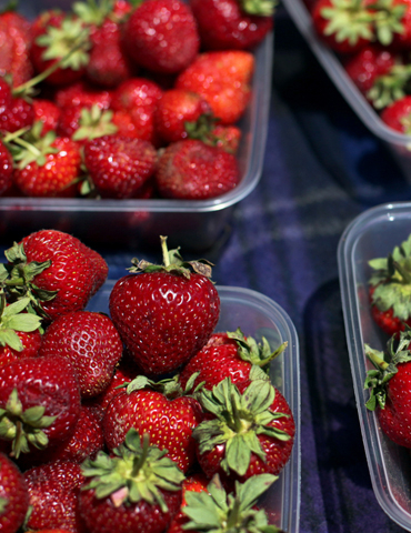 Strawberry & Fruit Punnets