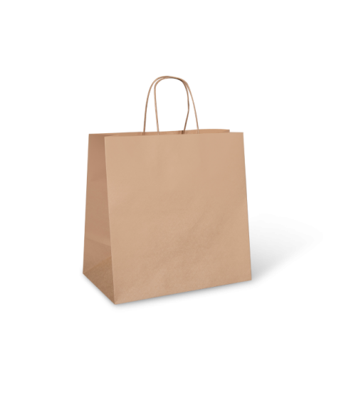 Large Kraft Paper Carry Bag with Twisted Handle