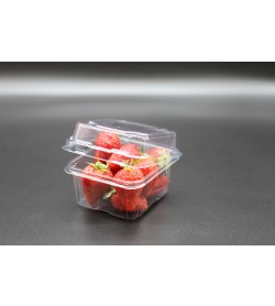 250gm SHALLOW STRAWBERRY PUNNET