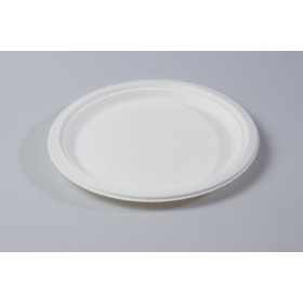 25cm 10" Round Plate