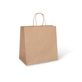 Small Kraft Paper Carry Bag with Twisted Handle 