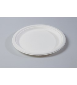 25cm 10" Round Plate